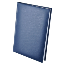 Щоденник недатований EXPERT, A5, 288 стор., синій. BM.2004-02